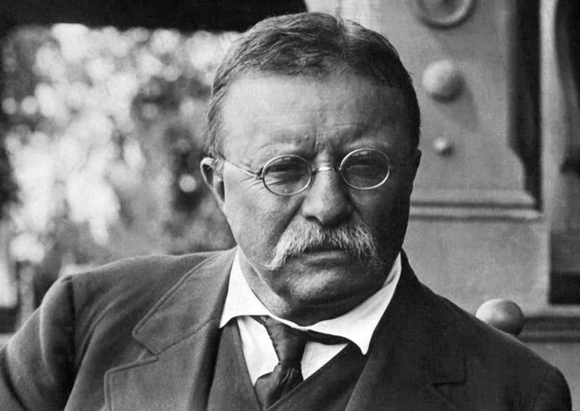 The Bull Moose, Theodore Roosevelt